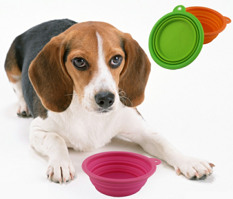 Silicone Pet Expandable Collapsible Travel Bowl